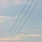 Summer evening sky background, vertical bright blue skyscape copy space, three power line cable wires, pink pastel clouds