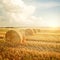 Summer Farm Scenery with Haystack