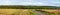 Summer farmland panorama