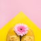 Summer fashion concept. Yellow sneakers and gerbera flower on geometric pastel background