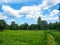 Summer field and forest in the natural park Olenyi brooks in the Sverdlovsk region