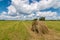 Summer field with mowed grass and haystack,