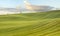 Summer fields, ripening grain crop fields in Germany