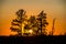 Summer fiery red sunset in the mountains against the background of trees