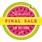 Summer final sale label. Watermelon colorful icon included.