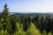 Summer fir forest and lake landscape (Karelia, Russia)