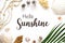 Summer Flat Lay White, Shells and Plants, Summer Background, Text Hello Sunshine