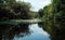 Summer floodplain river with jungles of reeds and trees.