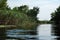 Summer floodplain river with jungles of reeds and trees.