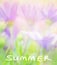 Summer flowers card