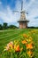 Summer flowers with duch windmill on background