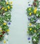 Summer flowers frame with colorful blooming potted pansies at pale blue background.  Gardening concept. Top view with copy space