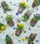 Summer flowers pattern with roots and earth. Various colorful blooming pansies at pale blue background.  Gardening concept with