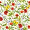 Summer flowers poppies, chamomile, grass. Seamless pattern. Watercolor