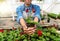 Summer flowers in pot. African american girl holding plant in greenhouse interior