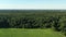 Summer forest and field. Wild nature. Aerial view