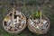 In the summer in the forest there are two full baskets with edible mushrooms and strawberries.