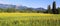 Summer French landscape.Sunflower fields and mountains. La Drome Provencal