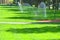 Summer fresh park. Grass watering system. Green lawn irrigation background