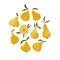 Summer fruit card or print for t-shirt. Vector design with pears isolated on the white background