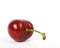 Summer fruit salad ingredient, red cherry on green stalk