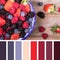 Summer fruit selection palette