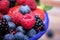 Summer fruits macro