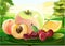 Summer fruits. Still life against the background of the landscape. Vector illustration. Apple, apricot, peach, cherry, orange. In