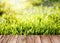 Summer garden background with green grass and wooden planks