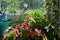 Summer garden on the balcony. Pink and red petunia flowers among green herbs in flowerpots