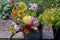 Summer garden bouquet with Dahlia\'s