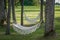 Summer garden with hanging hammock