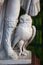 Summer Garden, St. Petersburg. An owl at the feet of the goddess Minerva, close-up. Fragment of a marble statue, late 17th century