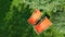 Summer garden with sunbed deckchairs on grass aerial top view, green park trees and place for relax