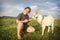 In the summer, a girl feeds a goat in the field