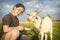 In the summer, a girl feeds a goat in the field