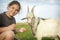 In the summer, a girl feeds a goat in the field