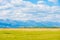Summer grassland in Barguzin Preserve, Siberia