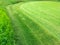 Summer grassy green lawn on the golf course