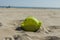 Summer green fish beach toy affix in the dry sand. Selective focus.