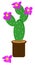 summer green  isolation gentle drawing wallpaper cactus