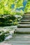 Summer green landscapes along river in traveling trip. Wooden vintage bridge walkway.