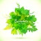 Summer green watercolor painted foliage banner