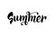 Summer handwritten lettering. Isolated hand draw text