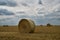 Summer Harvesting on the field.