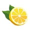 Summer healthy yellow half a lemon with leaves. Isolated vector fruit in flat style for design