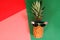 Summer and Holiday concept.Hipster Pineapple Fashion Accessories