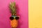 Summer and Holiday concept.Hipster Pineapple Fashion Accessories