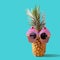 Summer and Holiday concept.Hipster Pineapple Fashion Accessories
