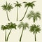 Summer holiday palm tree vector silhouettes